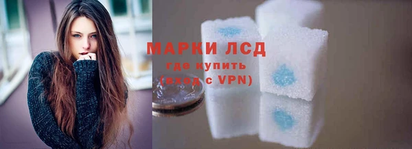 стаф Алексин