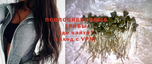 стаф Алексин