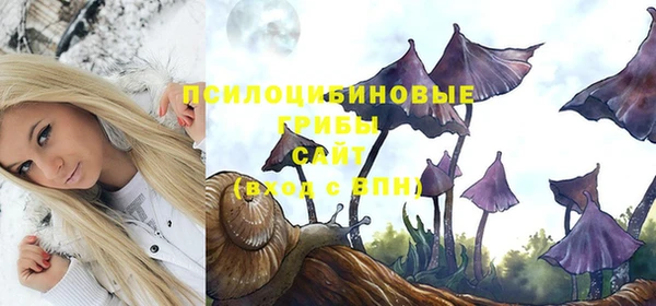 стаф Алексин