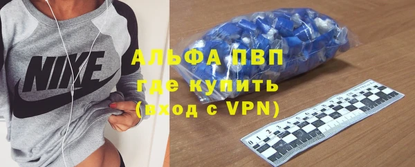 стаф Алексин