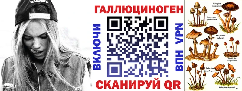 наркотики Болхов Галлюциногенные грибы GOLDEN TEACHER